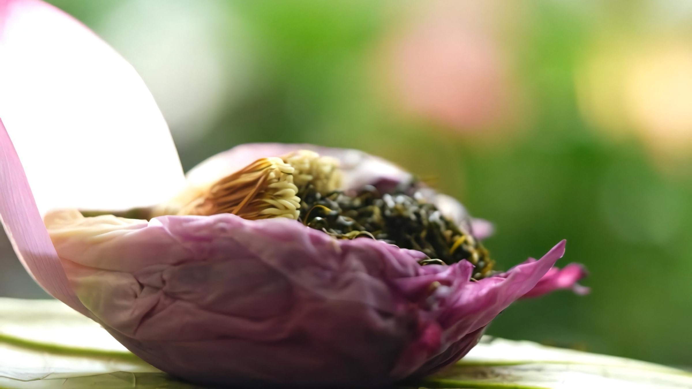 West Lake Lotus Tea Legend — Part II: The Art of Handcrafted Lotus Scenting 35 fresh-scenting-lotus-tea-finished-product-2