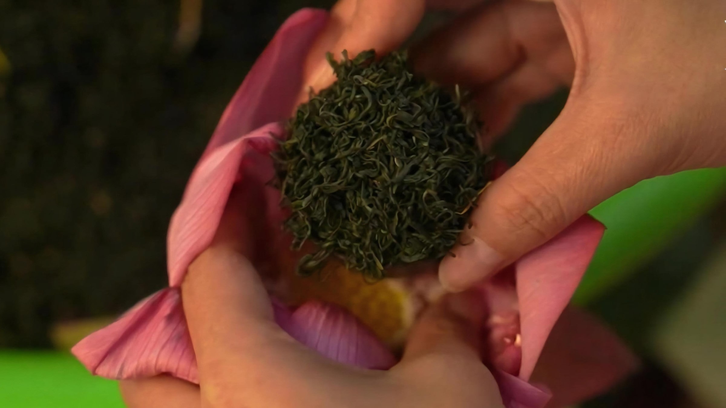 West Lake Lotus Tea Legend — Part II: The Art of Handcrafted Lotus Scenting 27 fresh-scenting-step-3