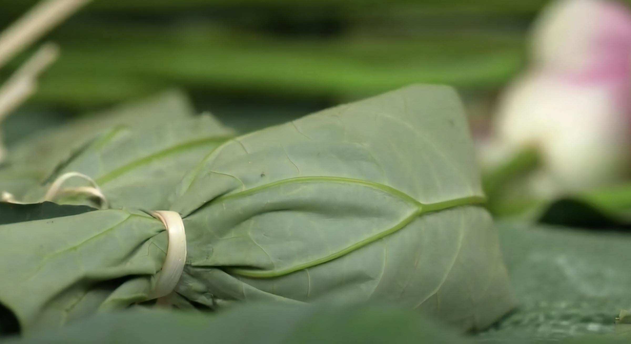West Lake Lotus Tea Legend — Part II: The Art of Handcrafted Lotus Scenting 31 fresh-scenting-step-7