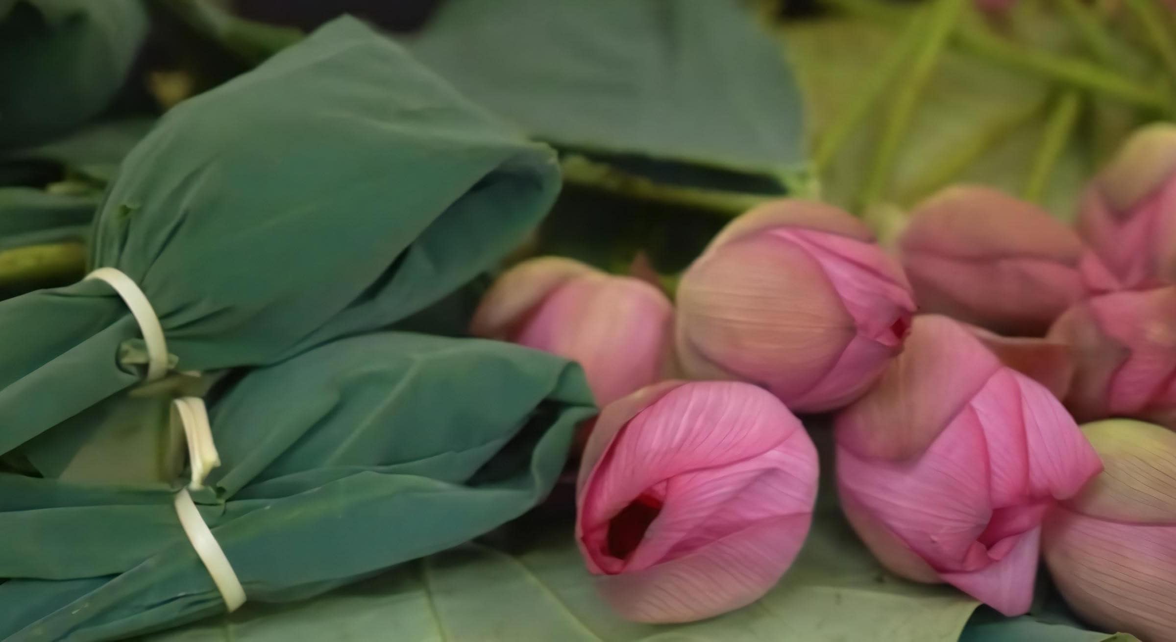 West Lake Lotus Tea Legend — Part II: The Art of Handcrafted Lotus Scenting 32 fresh-scenting-step-8