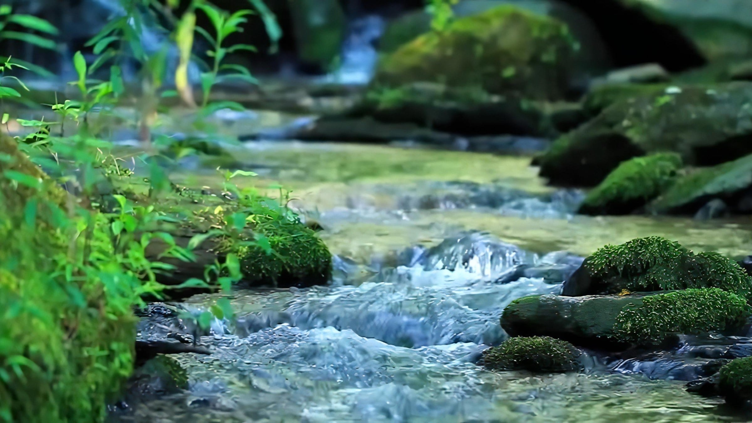 mountain-stream-is-best