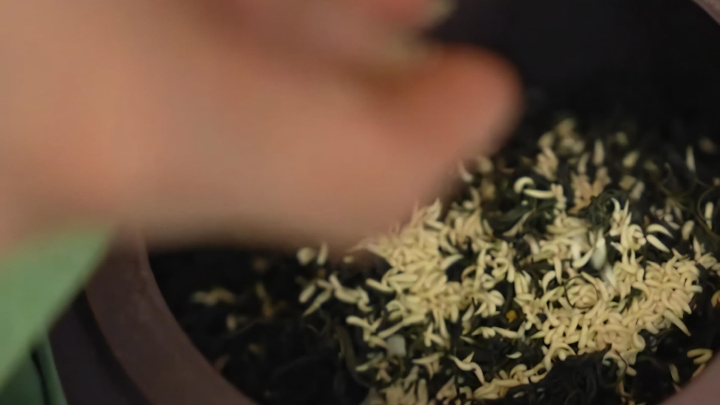West Lake Lotus Tea Legend — Part II: The Art of Handcrafted Lotus Scenting 17 portion-tea-and-layer-lotus-essence-into-earthenware-crocks