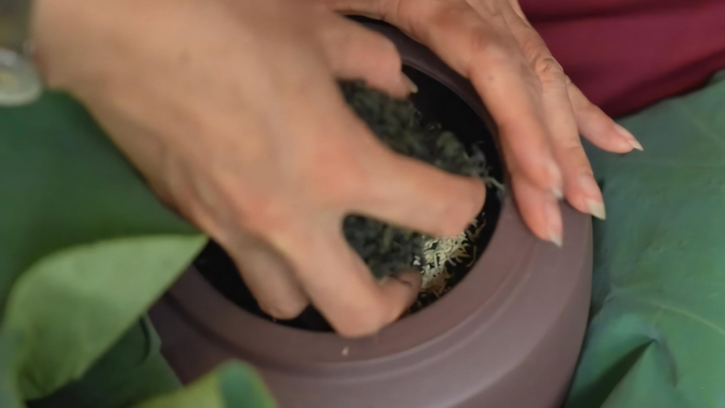 West Lake Lotus Tea Legend — Part II: The Art of Handcrafted Lotus Scenting 18 put-another-layer-of-tea-perform-every-step-in-sealed-rooms