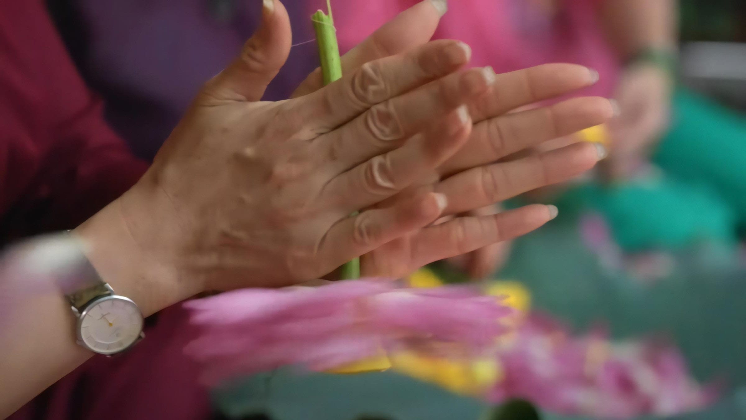 West Lake Lotus Tea Legend — Part II: The Art of Handcrafted Lotus Scenting 11 remove-smaller-inner-petals-2