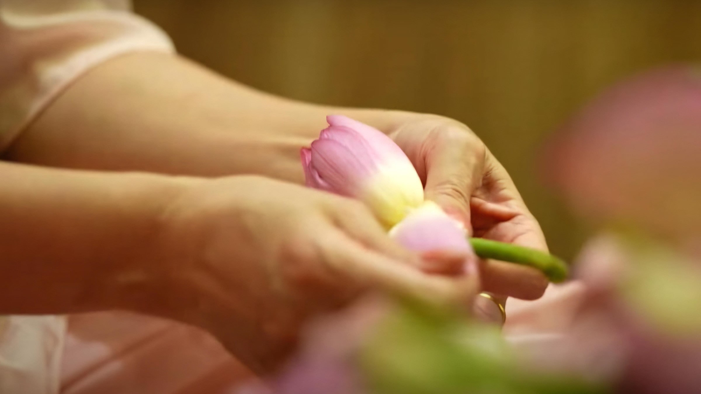West Lake Lotus Tea Legend — Part II: The Art of Handcrafted Lotus Scenting 10 remove-smaller-inner-petals