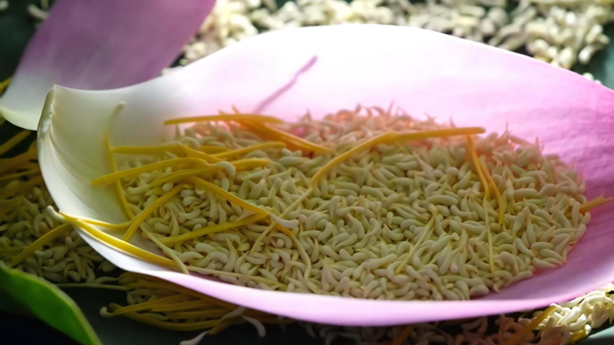 West Lake Lotus Tea Legend — Part II: The Art of Handcrafted Lotus Scenting 15 west-lake-lotus-rice-2