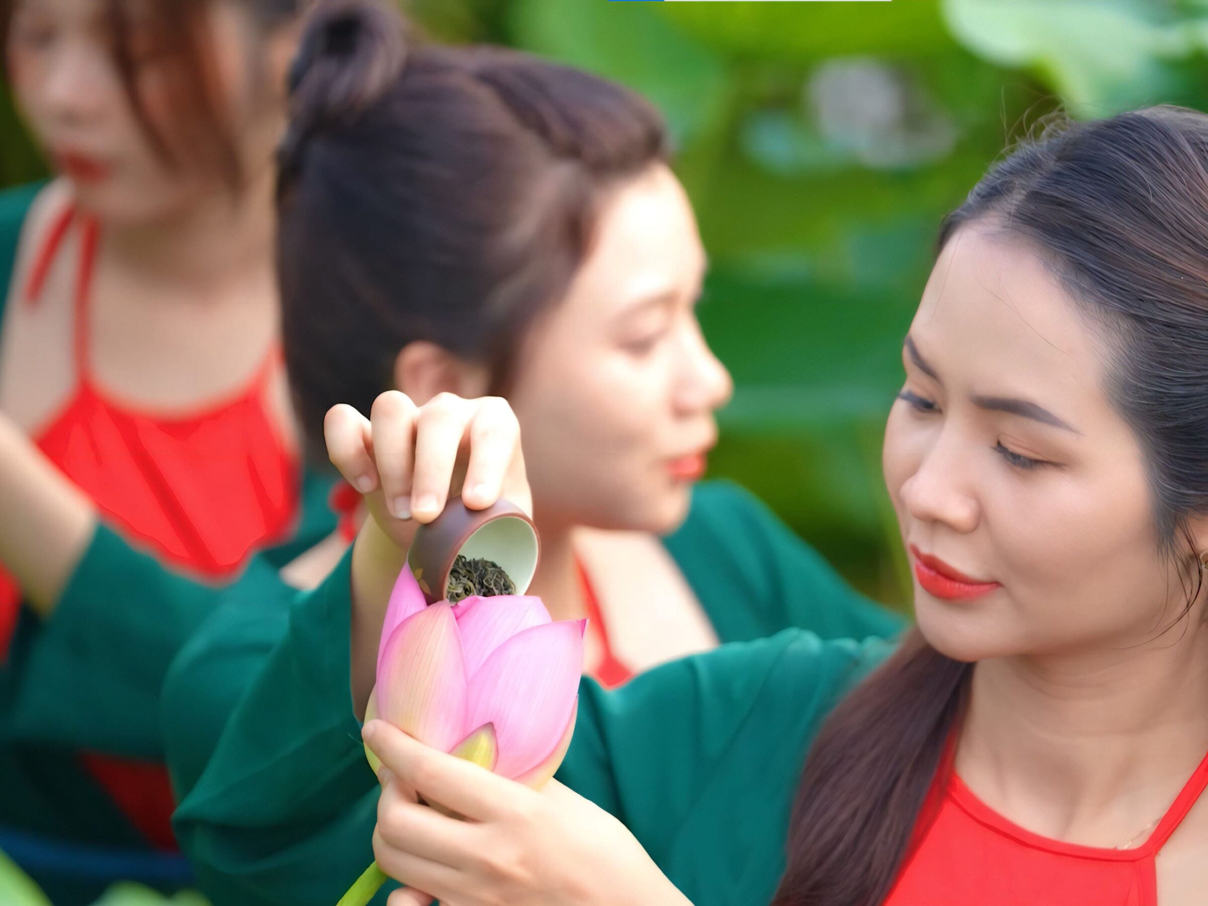 Noble-viet-tea-west-lake-lotus-tea-background