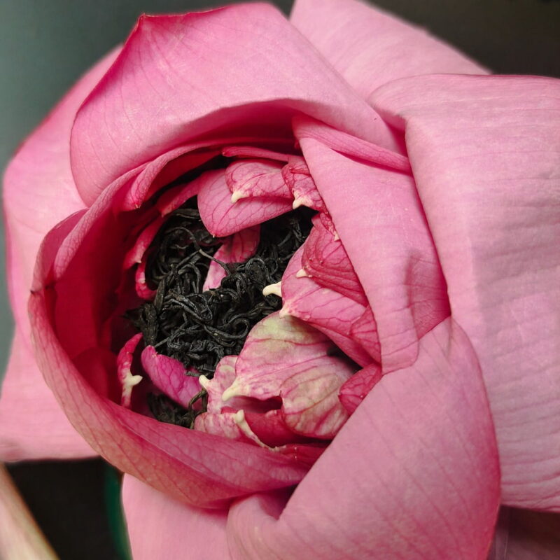 Lotus-tea-west-lake-thai-nguyen-fresh-scented-whole-blossom-freeze-dried