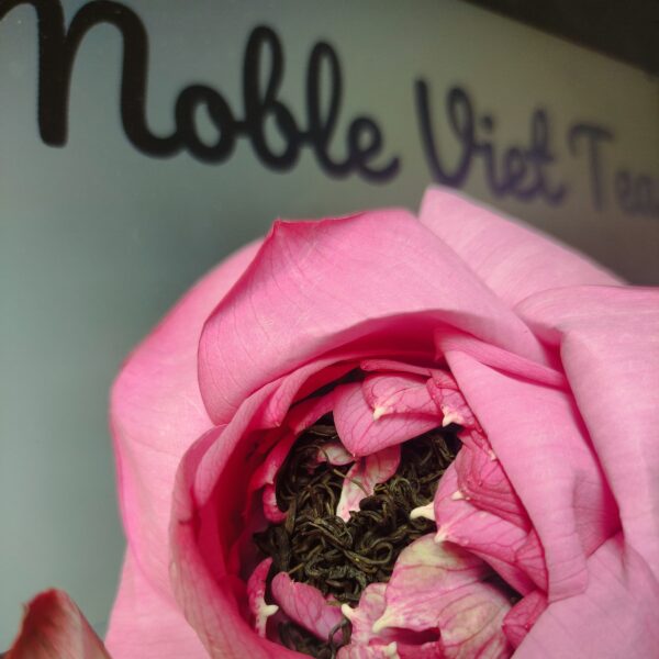 Lotus-tea-west-lake-thai-nguyen-fresh-scented-whole-blossom-freeze-dried-noble-viet-tea