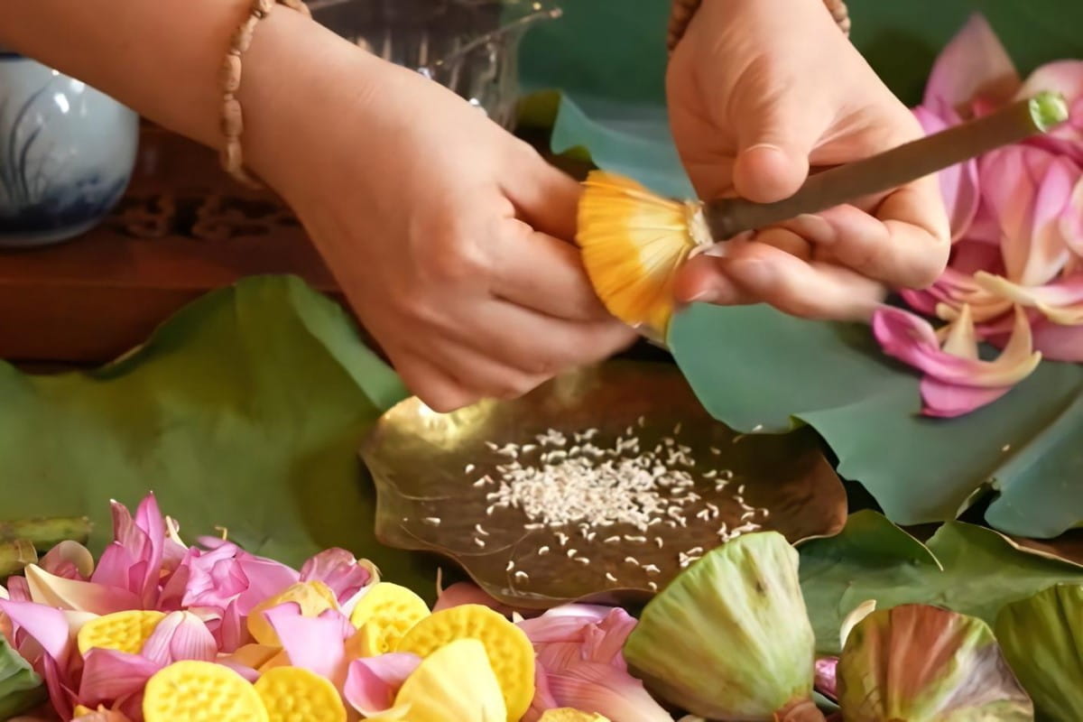 Distinguishing-real-fake-lotus-tea-authentic-West-Lake-lotus-tea-infused-with-natural-lotus-rice